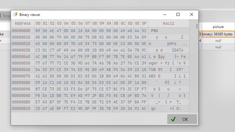 Binary viewer window